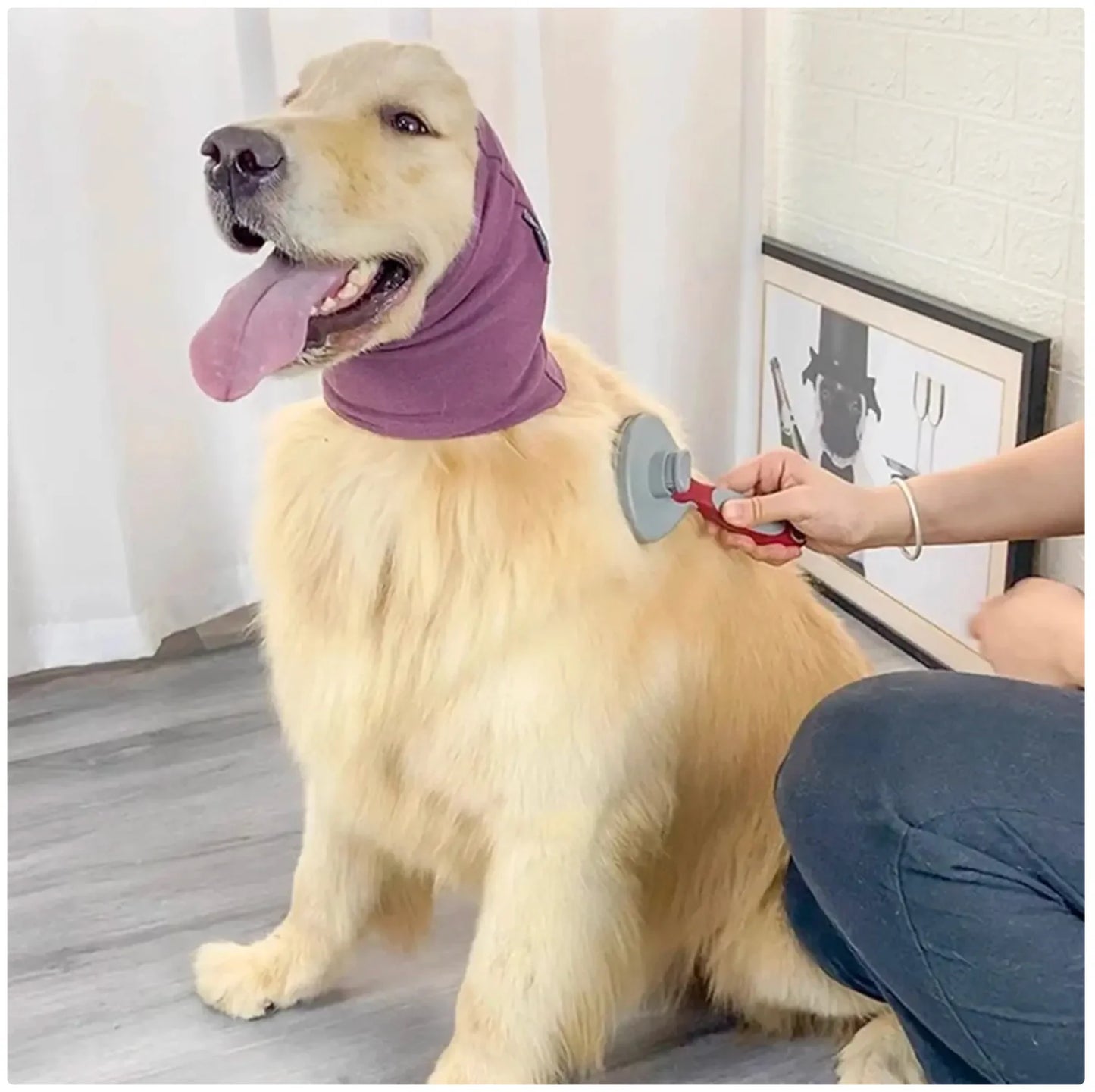 High-Elastic Pet Ear & Neck Warmer - Winter Cold Protection for Dogs