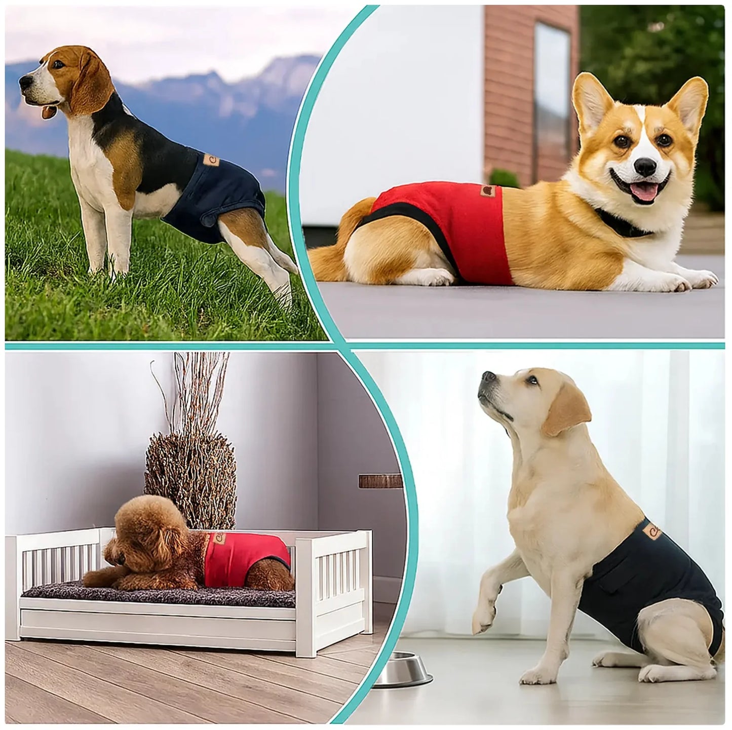 Adjustable Waterproof Dog Diaper - Ultimate Hygiene Solution for Your Pet