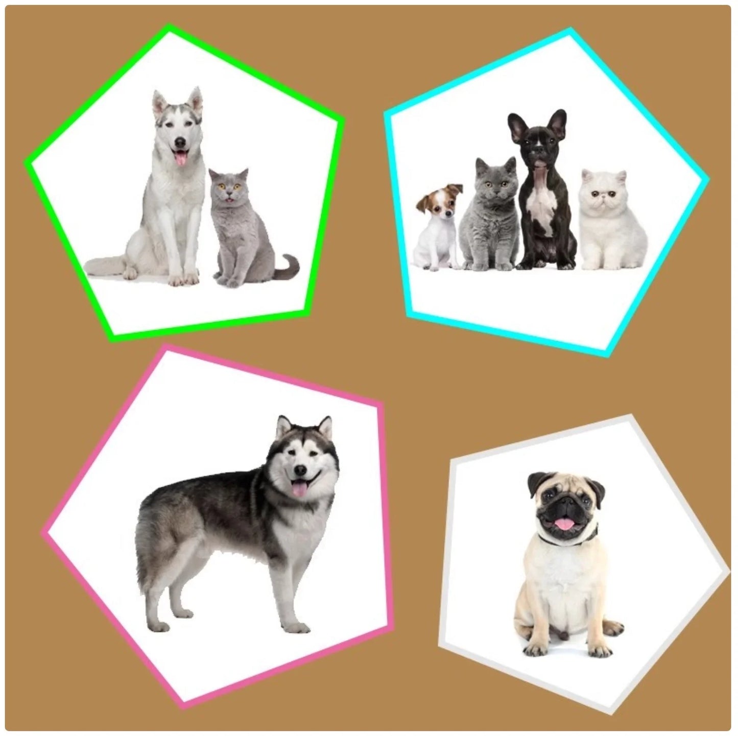 High-Elastic Pet Ear & Neck Warmer - Winter Cold Protection for Dogs