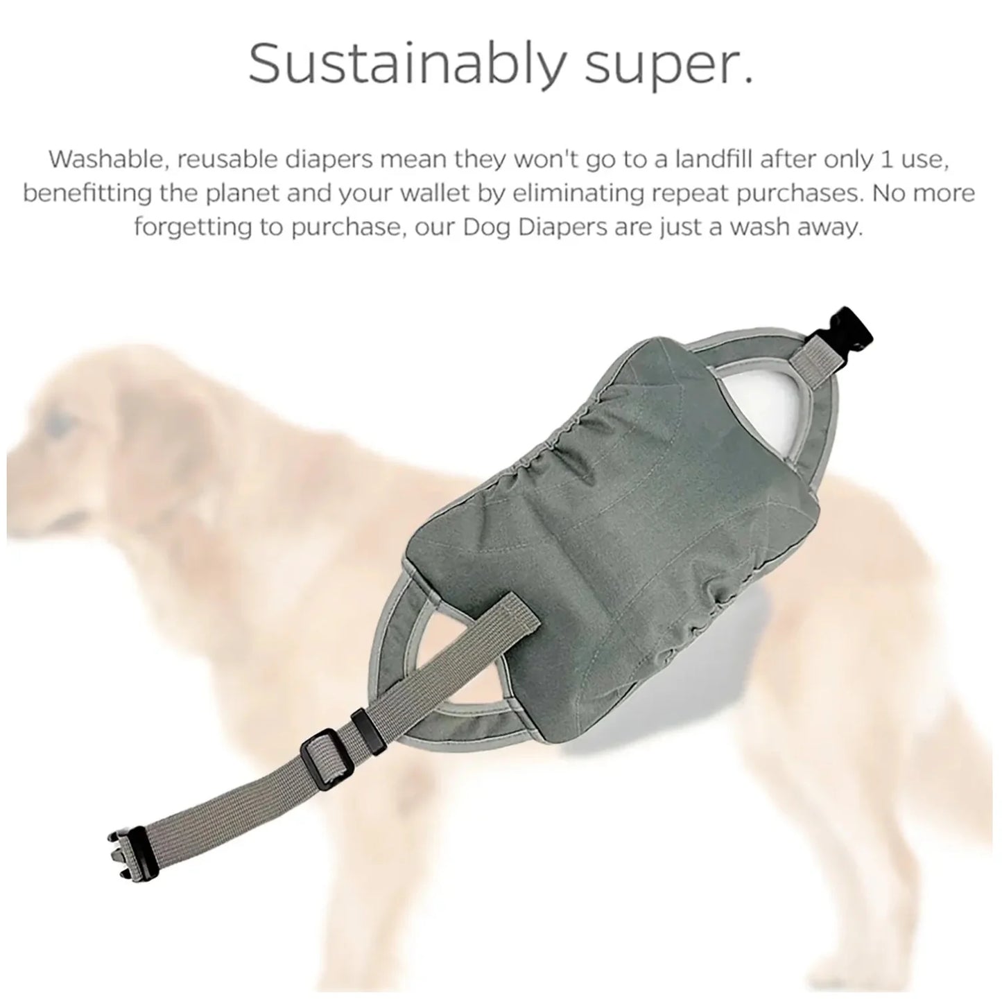 Comfort - First Dog Diaper: Prioritizing Your Pet'S Well - Being