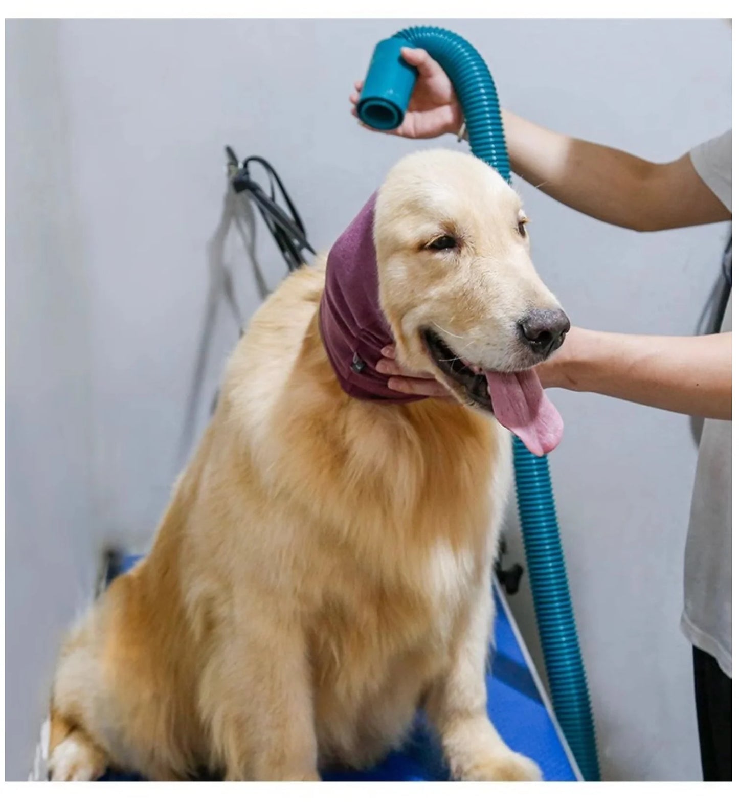 High-Elastic Pet Ear & Neck Warmer - Winter Cold Protection for Dogs