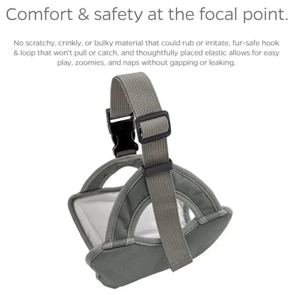 Comfort - First Dog Diaper: Prioritizing Your Pet'S Well - Being